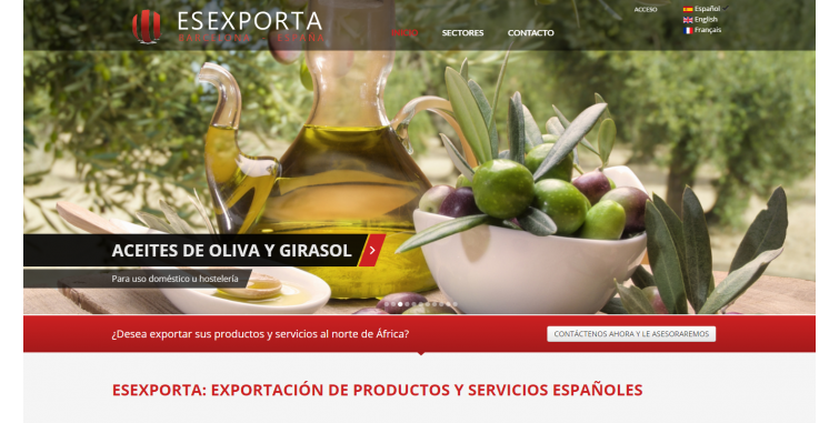 Diseño web Agencia Exportadora