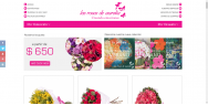 Diseño Tienda virtual venta de flores