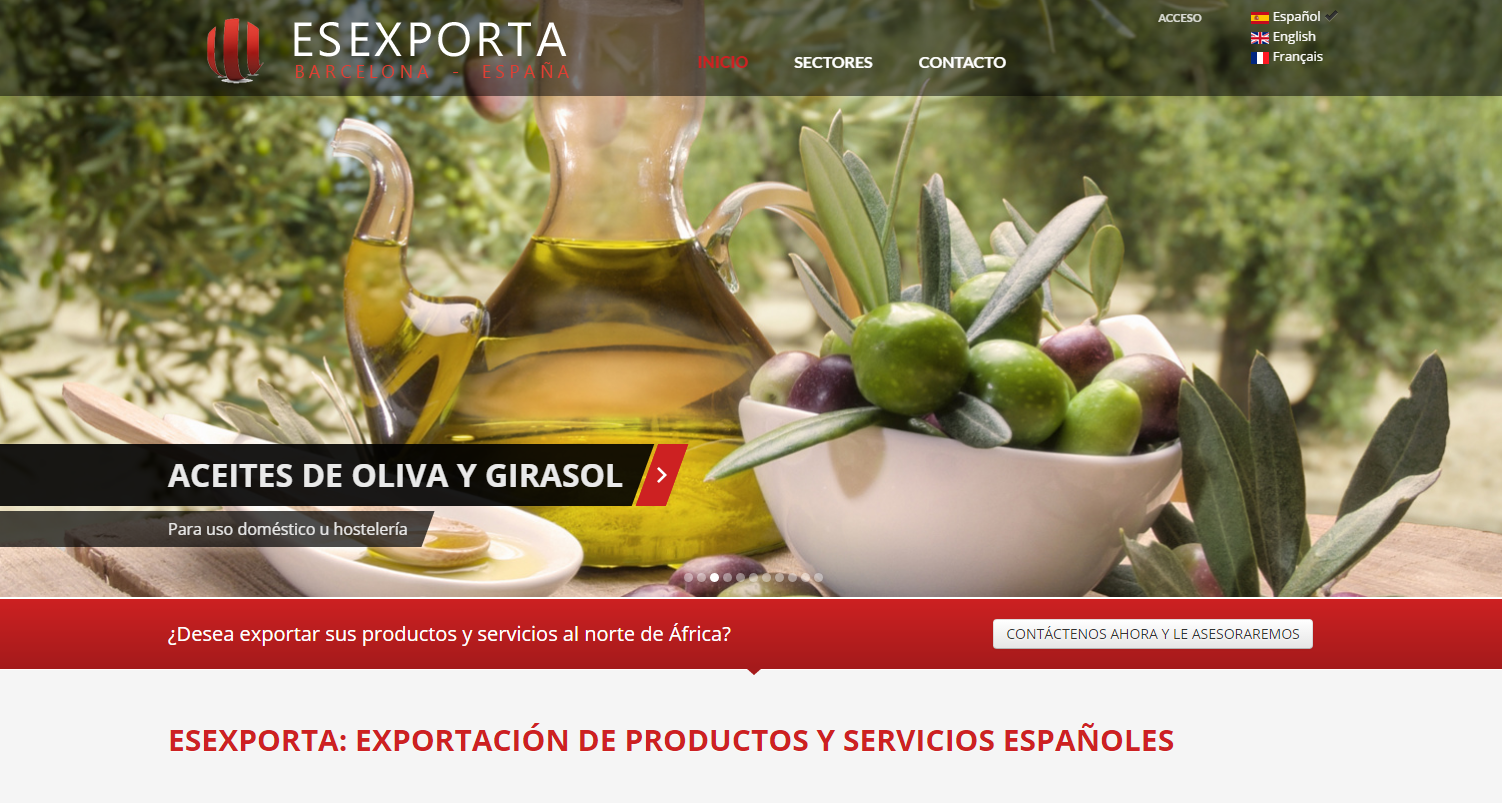 Diseño de página web Agencia Exportadora