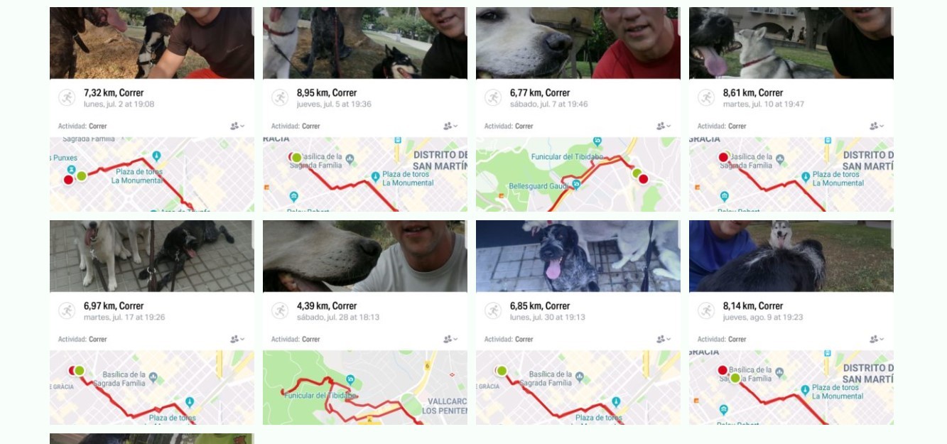 Creación de Página web pasear perros