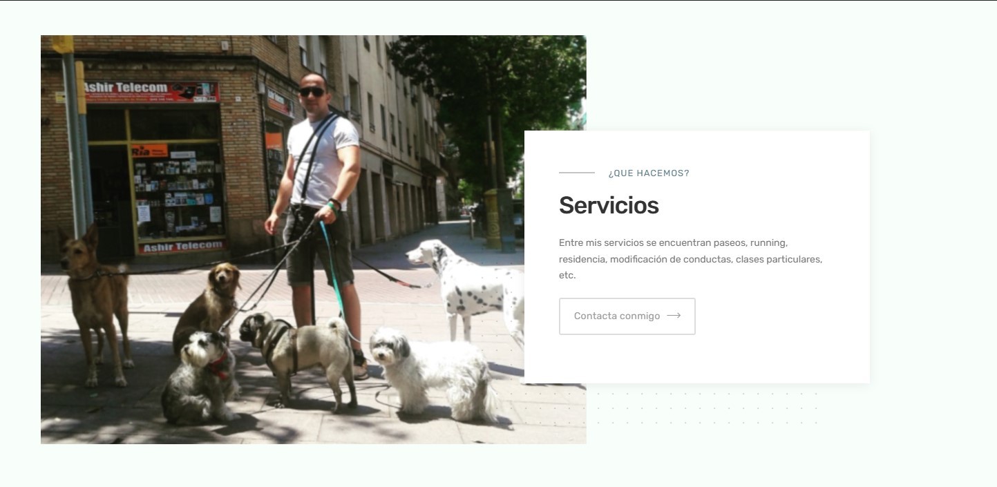 Creación de Página web pasear perros