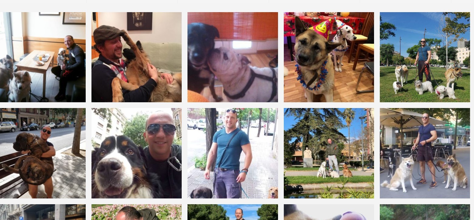 Creación de Página web pasear perros