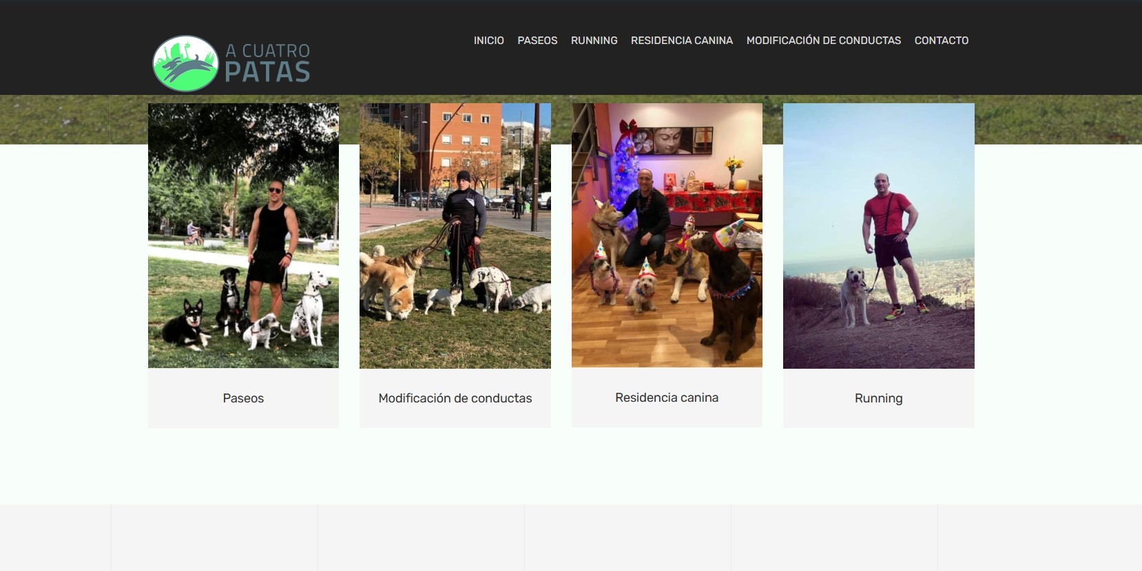 Creación de Página web pasear perros