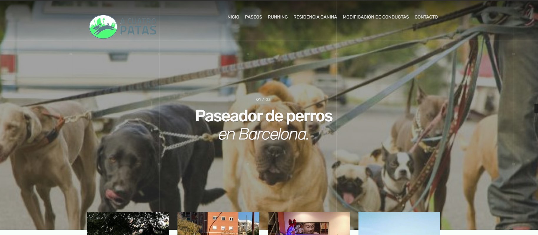 Creación de Página web pasear perros