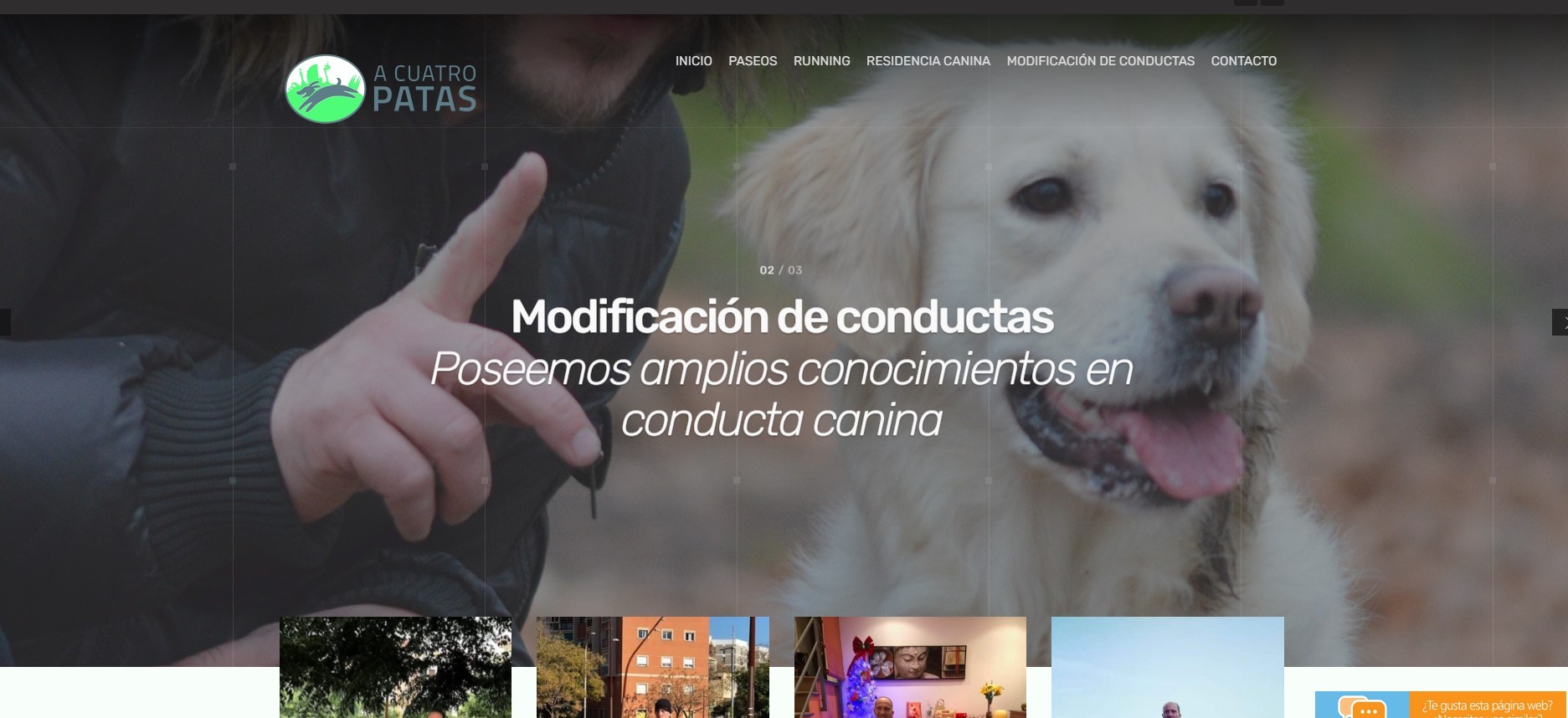 Creación de Página web pasear perros