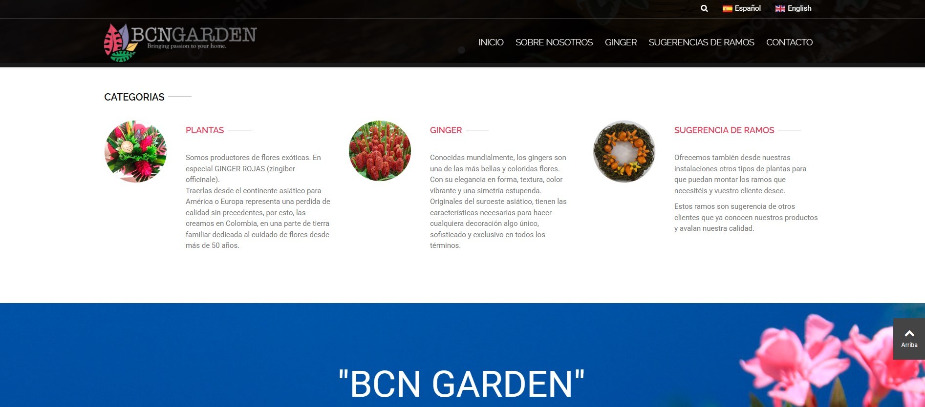 Diseño tienda online floristería