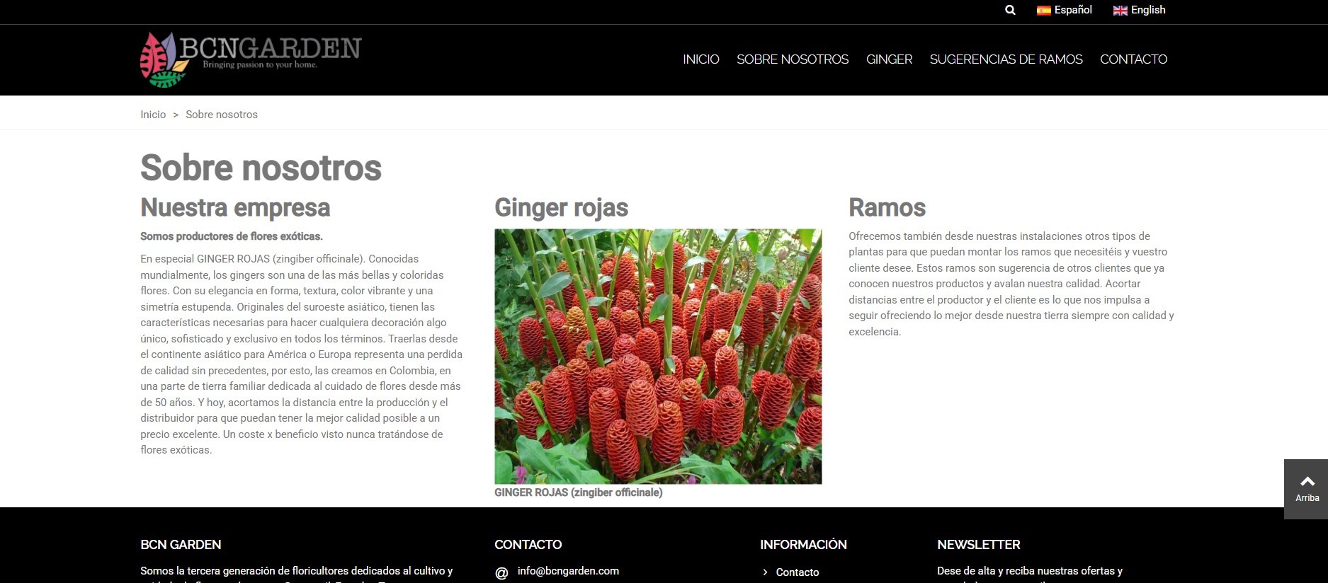 Diseño tienda online floristería