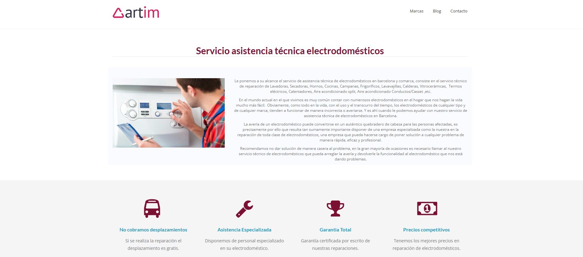Diseño página web servicio técnico