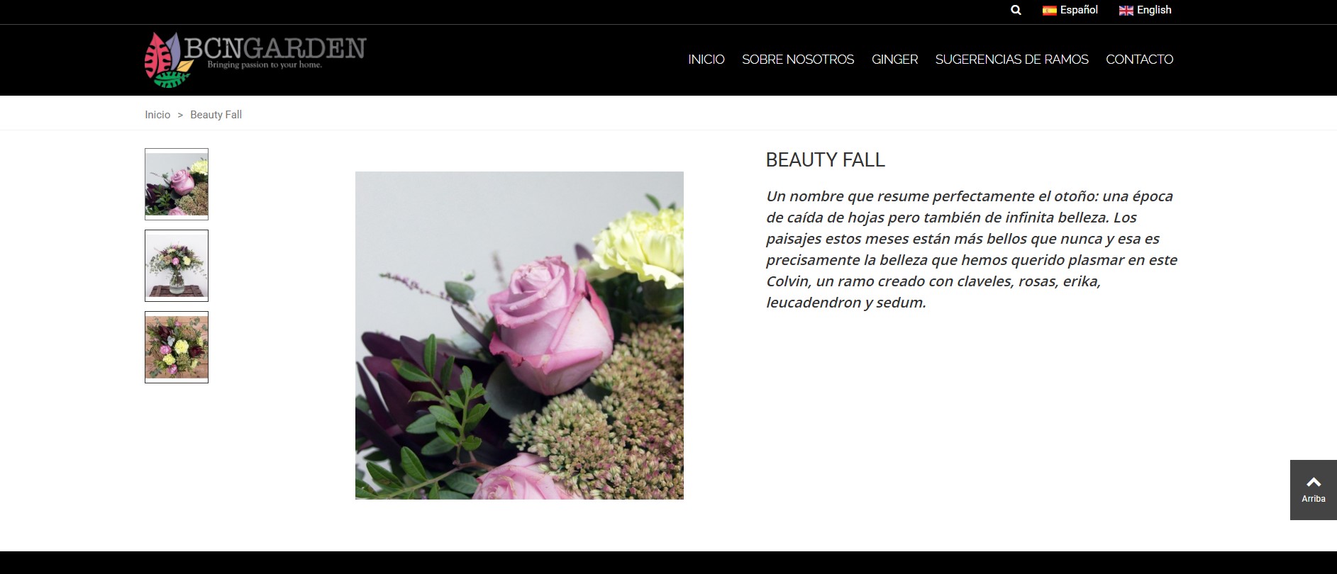 Diseño tienda online floristería